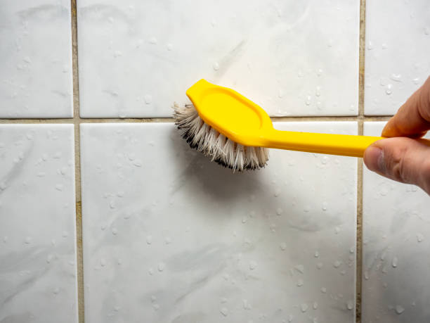 Best Water Damage Restoration  in Aberdeen, IN