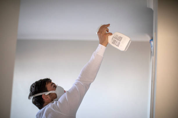 Best Mold Damage Repair  in Aberdeen, IN
