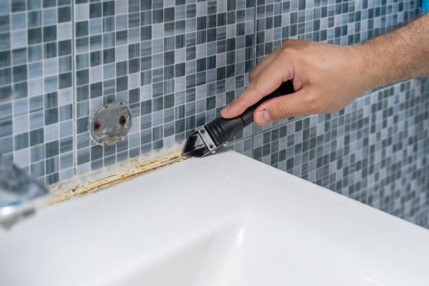 Best Certified Mold Removal  in Aberdeen, IN